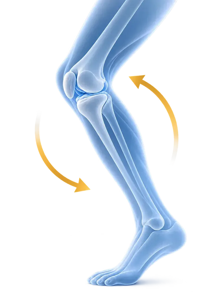 More Natural Knee Feel Leg Movement