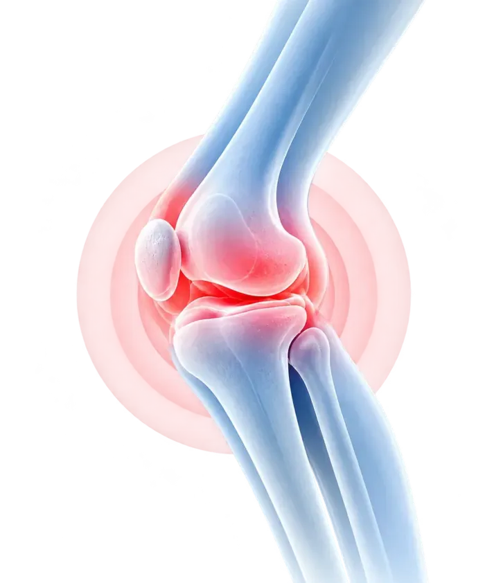 Less Pain Knee Joint